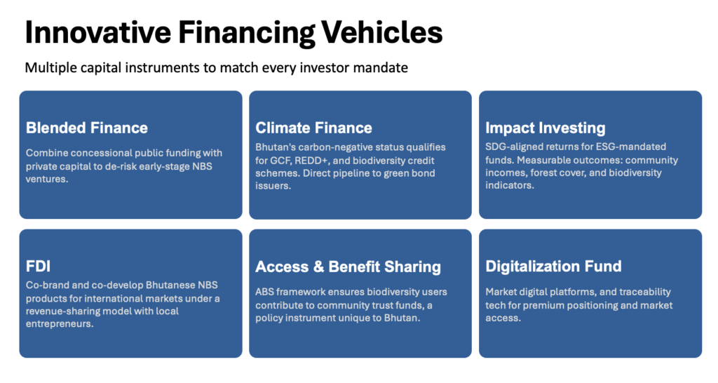 Bhutan innovative financing